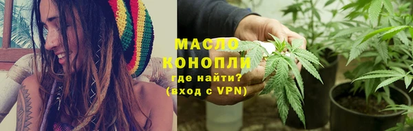 шишки Белокуриха