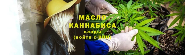 шишки Белокуриха