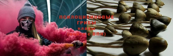 PSILOCYBIN Белоозёрский