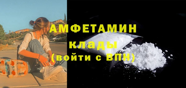 шишки Белокуриха