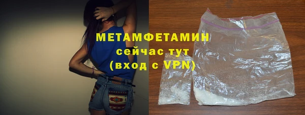 шишки Белокуриха