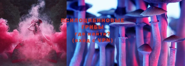шишки Белокуриха