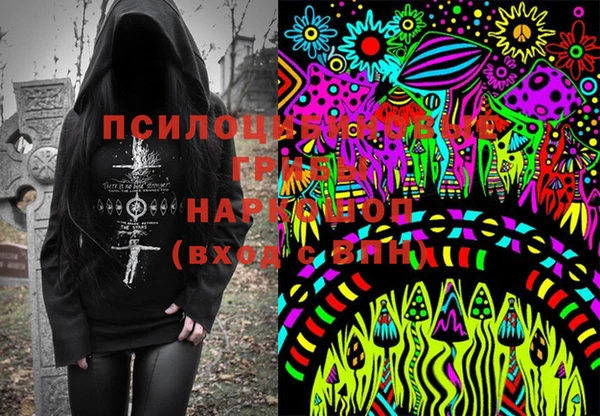 шишки Белокуриха