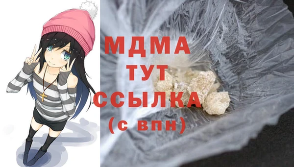 шишки Белокуриха